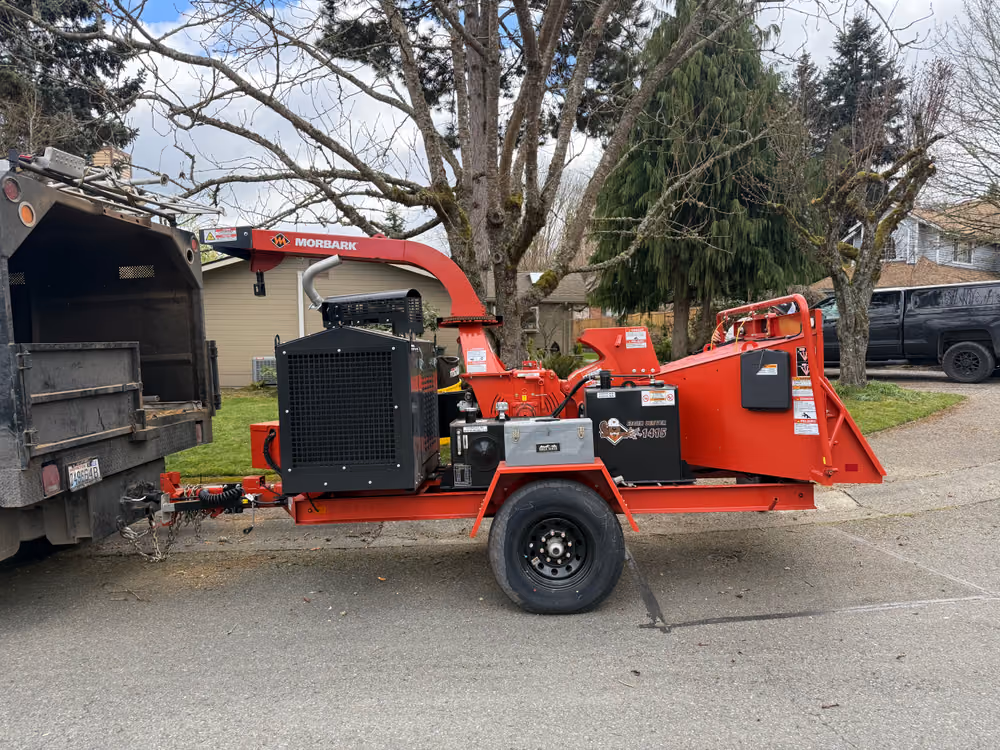 Pelton Tree Care crew on a recent job (4)