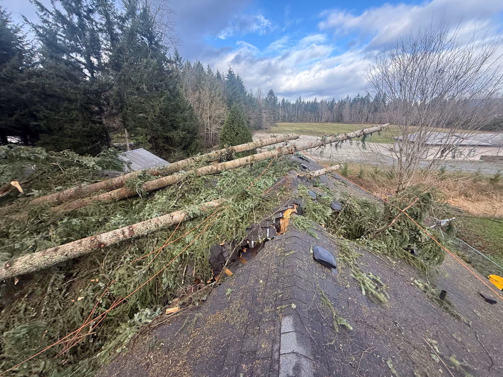 Pelton Tree Care crew on a recent job (5)