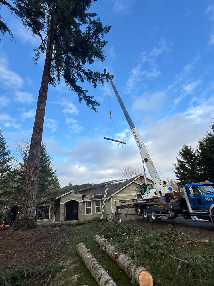 Pelton Tree Care crew on a recent job (2)