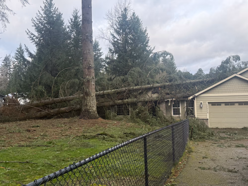 Pelton Tree Care crew on a recent job (3)