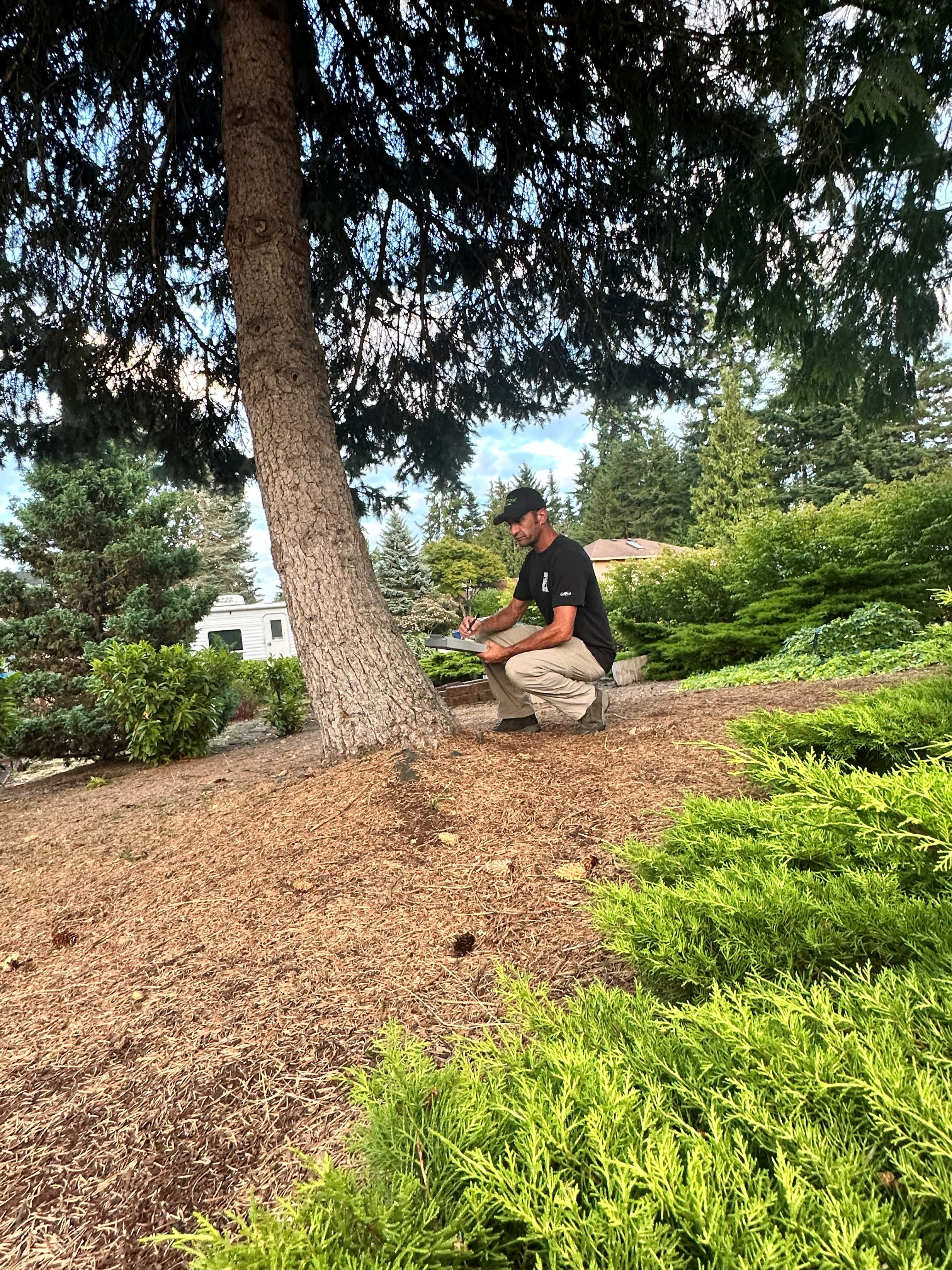 Certified arborist assessing a tree and writing a report on-site